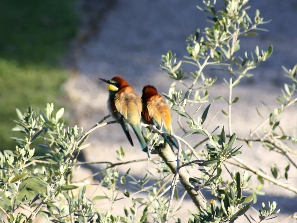 Agriturismo Peretti Fonteblanda Italy